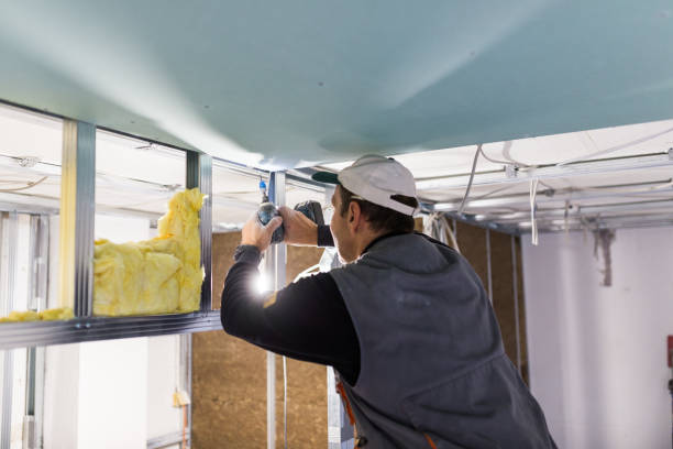 Best Residential Insulation in Mammoth, AZ