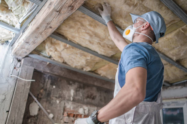Professional Insulation Contractor in Mammoth, AZ