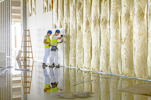 Best Cellulose Insulation in Mammoth, AZ